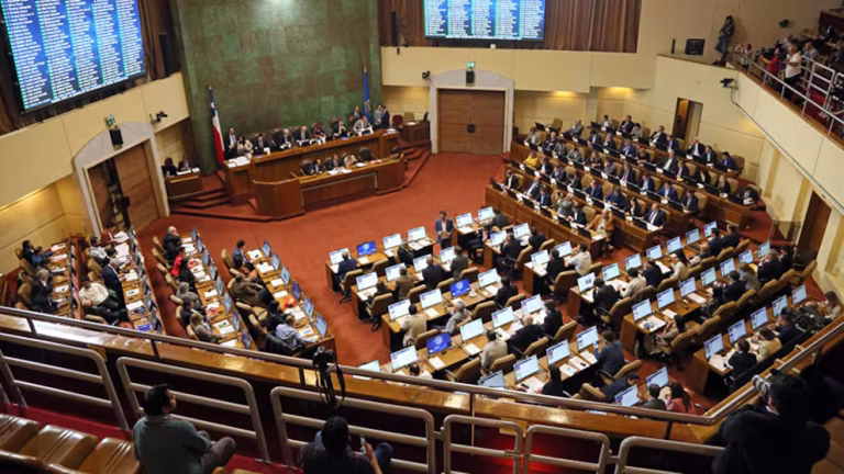 Parlamentarios de La Araucanía piden decretar Estado de Catástrofe.